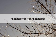 朱晓琳现在做什么,朱晓琳现状