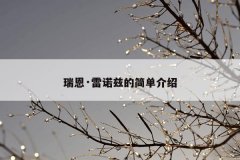 瑞恩·雷诺兹的简单介绍