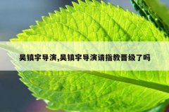 吴镇宇导演,吴镇宇导演请指教晋级了吗