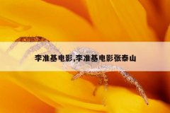 李准基电影,李准基电影张泰山