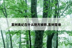 直树美纪在什么地方被救,直树是谁