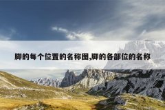 脚的每个位置的名称图,脚的各部位的名称