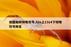 炫酷昵称特殊符号,52o上1314下特殊符号网名
