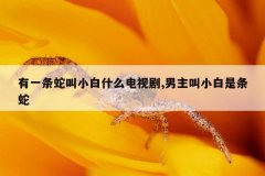 有一条蛇叫小白什么电视剧,男主叫小白是条蛇