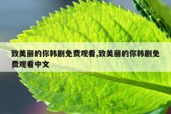 致美丽的你韩剧免费观看,致美丽的你韩剧免费观看中文