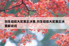 羽生结弦大奖赛总决赛,羽生结弦大奖赛总决赛解说词