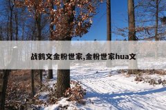 战鹤文金粉世家,金粉世家hua文