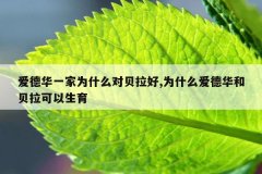 爱德华一家为什么对贝拉好,为什么爱德华和贝拉