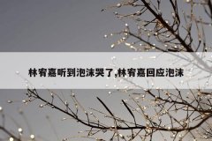 林宥嘉听到泡沫哭了,林宥嘉回应泡沫