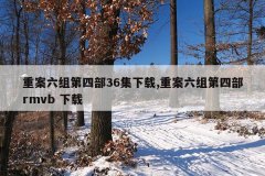 重案六组第四部36集下载,重案六组第四部rmvb 下载