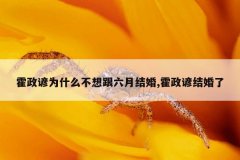 霍政谚为什么不想跟六月结婚,霍政谚结婚了