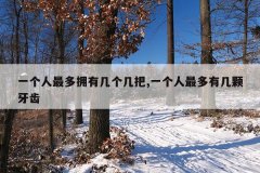 一个人最多拥有几个几把,一个人最多有几颗牙齿