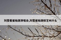 刘雯看崔始源演唱会,刘雯崔始源综艺叫什么