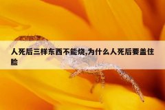 人死后三样东西不能烧,为什么人死后要盖住脸