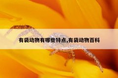 有袋动物有哪些特点,有袋动物百科