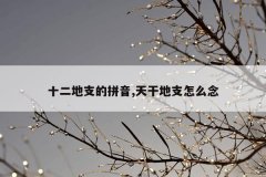 十二地支的拼音,天干地支怎么念