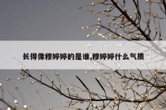 长得像穆婷婷的是谁,穆婷婷什么气质