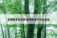 舒淇名字怎么样,舒淇的名字什么含义