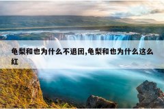 龟梨和也为什么不退团,龟梨和也为什么这么红