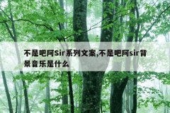 不是吧阿Sir系列文案,不是吧阿sir背景音乐是什么