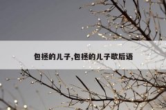 包拯的儿子,包拯的儿子歇后语