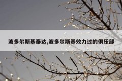 波多尔斯基泰达,波多尔斯基效力过的俱乐部