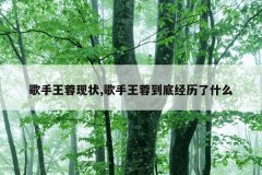 歌手王蓉现状,歌手王蓉到底经历了什么