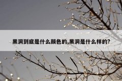 黑洞到底是什么颜色的,黑洞是什么样的?