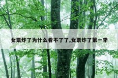 女票炸了为什么看不了了,女票炸了第一季