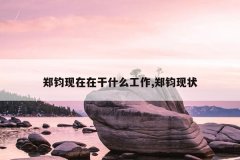 郑钧现在在干什么工作,郑钧现状