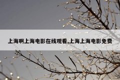 上海啊上海电影在线观看,上海上海电影免费