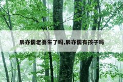 辰亦儒老婆生了吗,辰亦儒有孩子吗