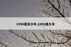 1998是多少年,1998是几年