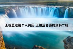 王祖蓝老婆个人简历,王祖蓝老婆的资料二胎