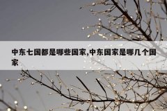 中东七国都是哪些国家,中东国家是哪几个国家