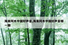 海来阿木中国好声音,海来阿木中国好声音哪一期