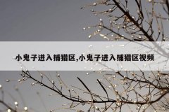 小鬼子进入捕猎区,小鬼子进入捕猎区视频