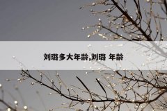 刘璐多大年龄,刘璐 年龄