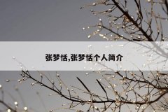 张梦恬,张梦恬个人简介