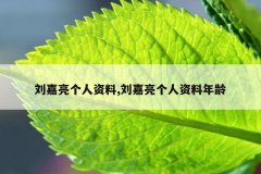 刘嘉亮个人资料,刘嘉亮个人资料年龄