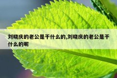 刘晓庆的老公是干什么的,刘晓庆的老公是干什么的呢