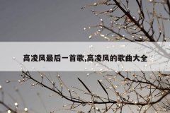 高凌风最后一首歌,高凌风的歌曲大全