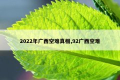 2022年广西空难真相,92广西空难