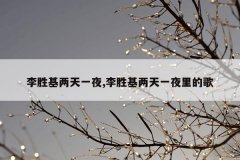 李胜基两天一夜,李胜基两天一夜里的歌