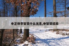 申正焕李智贤什么关系,申智贤结局