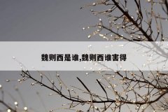 魏则西是谁,魏则西谁害得