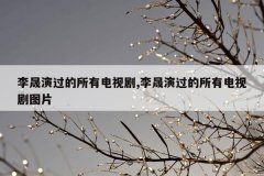 李晟演过的所有电视剧,李晟演过的所有电视剧图