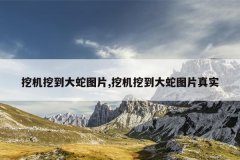 挖机挖到大蛇图片,挖机挖到大蛇图片真实