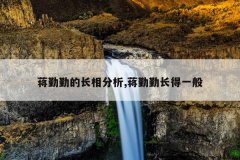 蒋勤勤的长相分析,蒋勤勤长得一般