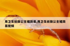用卫生纸做公主裙简易,用卫生纸做公主裙简易视